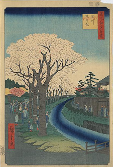 Ando Hiroshige print Tamagawa-zutsumi no hana