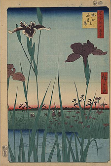 Ando Hiroshige print Horikiri no hanashōbu