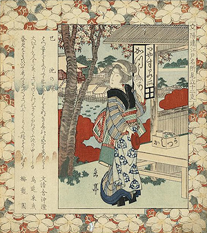 Yashima print Mi ikenohata